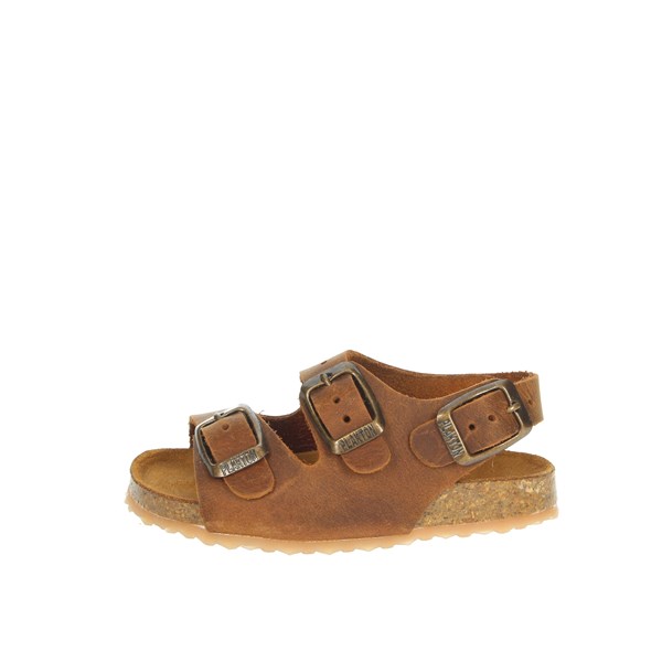 Plakton Shoes Sandal Brown leather PETROL 850046