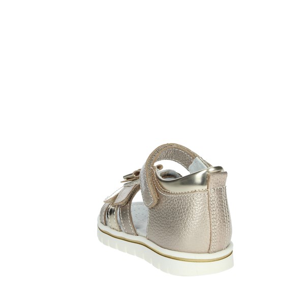 Nero Giardini Shoes Sandal Platinum  E021473F