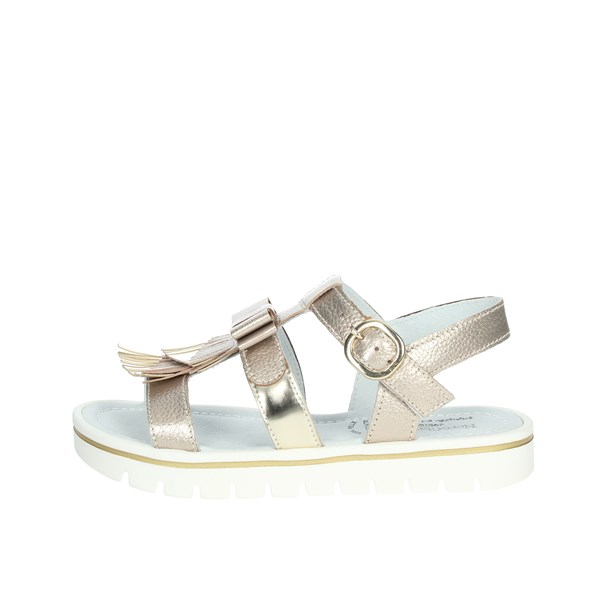 Nero Giardini Shoes Sandal Platinum  E031617F
