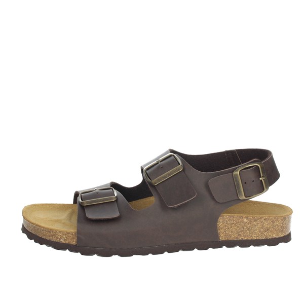 Dorea Shoes Sandal Brown CN251B