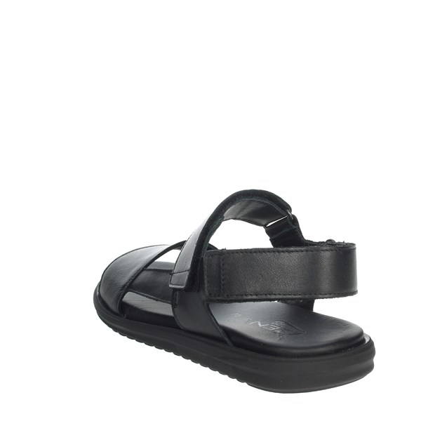 Zen Shoes Sandal Black 278488