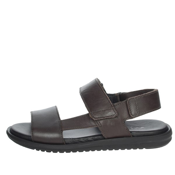 Zen Shoes Sandal Brown 278488