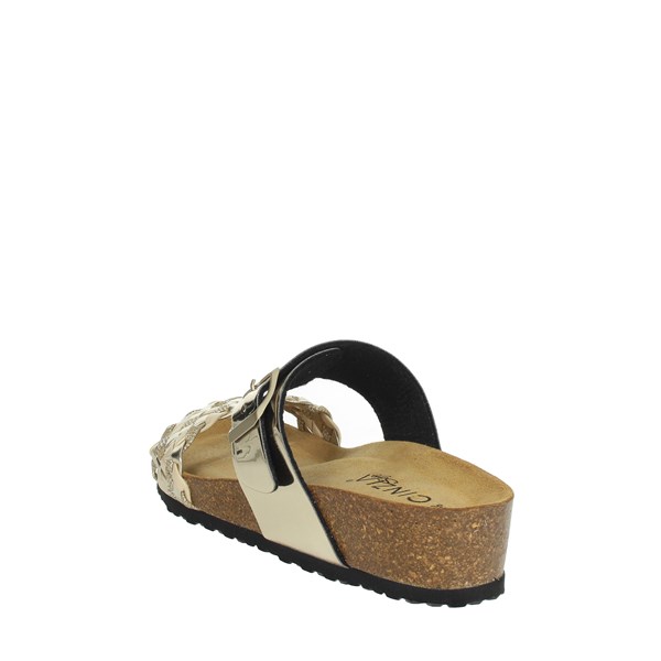 Cinzia Soft Shoes Clogs Platinum  EA1587ET