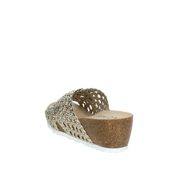 Cinzia Soft Shoes Platform Slippers Platinum  EA1406