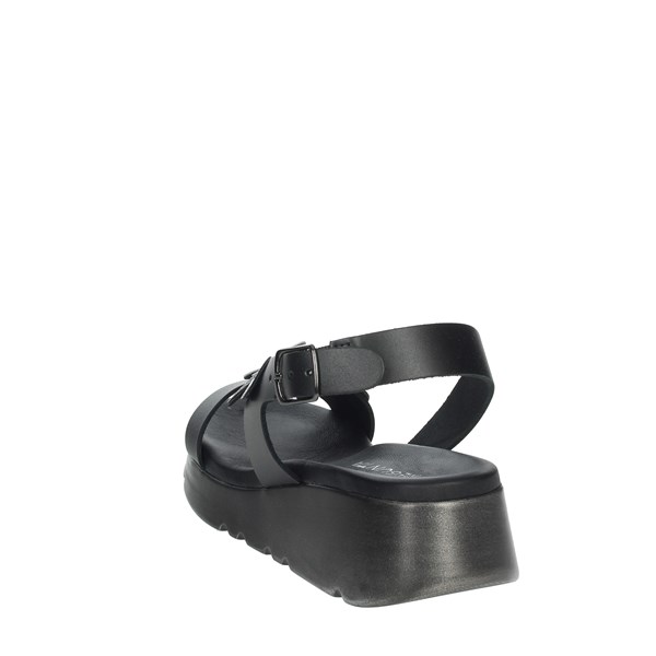 Pregunta Shoes Sandal Black CG37417