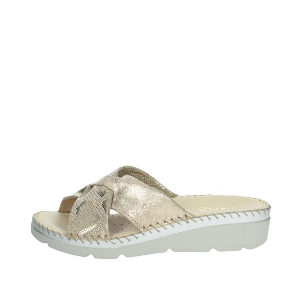 Cinzia Soft Shoes Clogs Platinum  IU500614LS