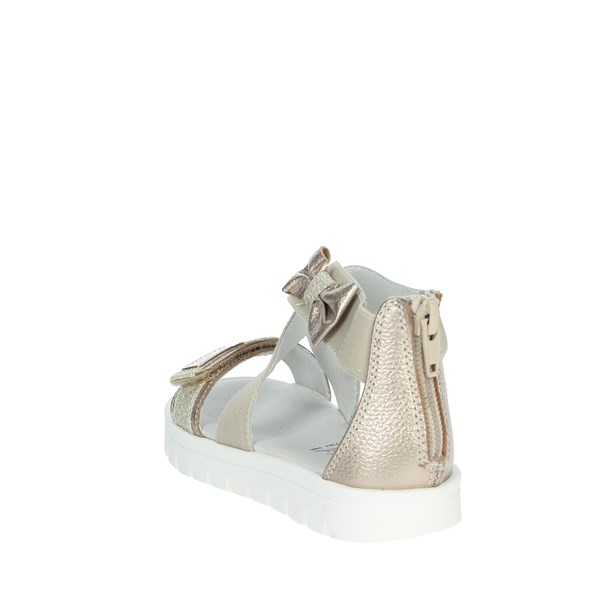 Nero Giardini Shoes Flat Sandals Platinum  E227232F