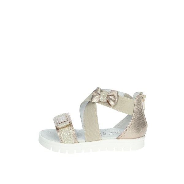 Nero Giardini Shoes Flat Sandals Platinum  E222232F