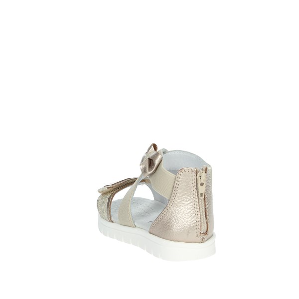 Nero Giardini Shoes Flat Sandals Platinum  E222232F
