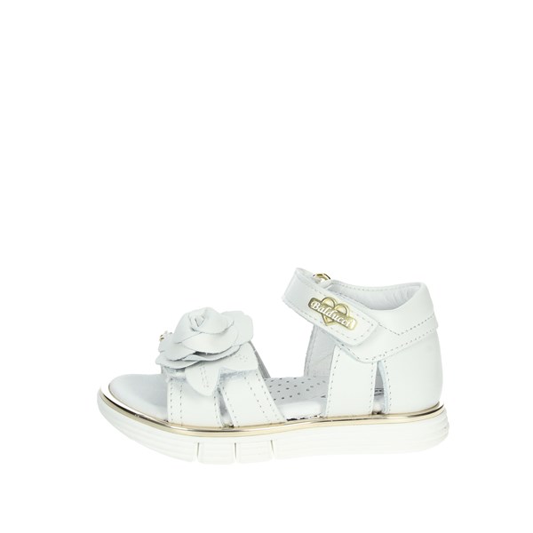 Balducci Shoes Sandal White/Gold CITA5302