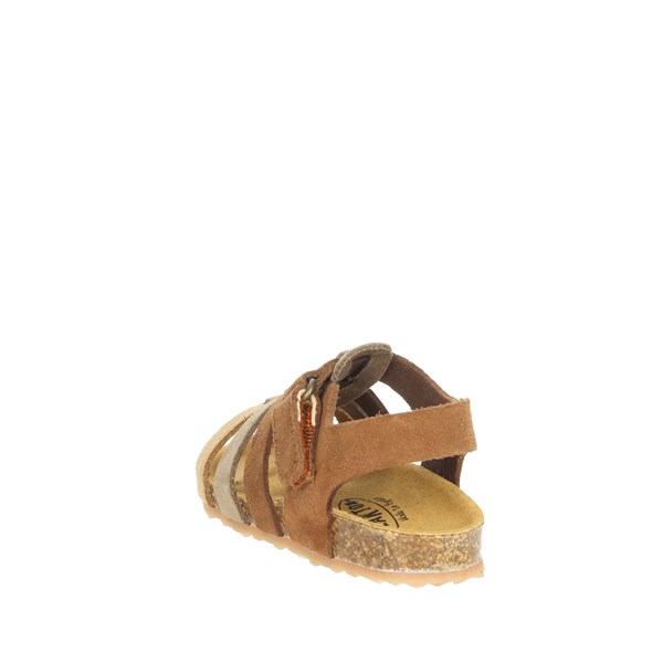 Plakton Shoes Flat Sandals Brown leather PADOVA 855381