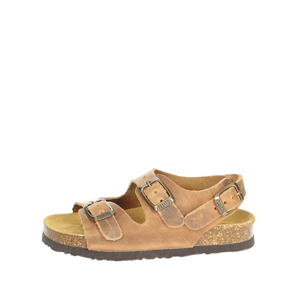 Plakton Shoes Flat Sandals Brown leather CORTO 120046