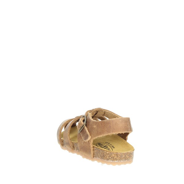 Plakton Shoes Flat Sandals Brown leather POLKA 855492
