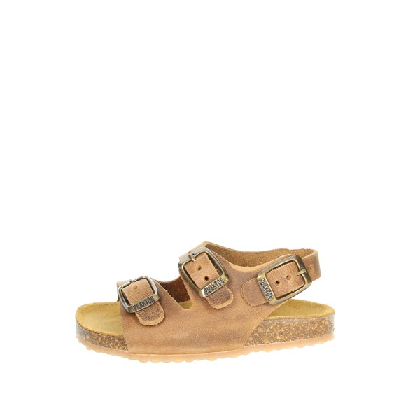 Plakton Shoes Flat Sandals Brown leather PETROL 850046