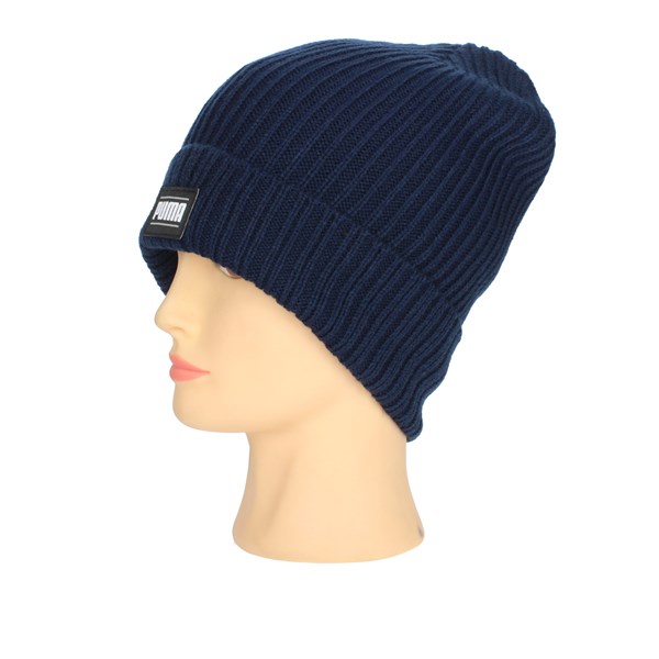 Puma Accessories Hat Blue 024038