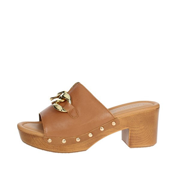 Carmela Shoes Heeled Slippers Brown leather 160715