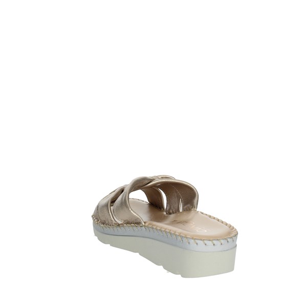 Cinzia Soft Shoes Flat Slippers Platinum  IU500813-L