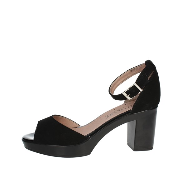 Pitillos Shoes Heeled Sandals Black 2634