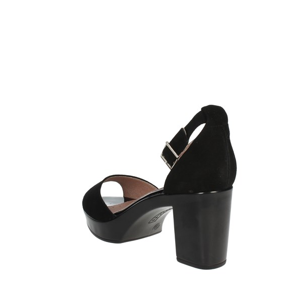 Pitillos Shoes Heeled Sandals Black 2634