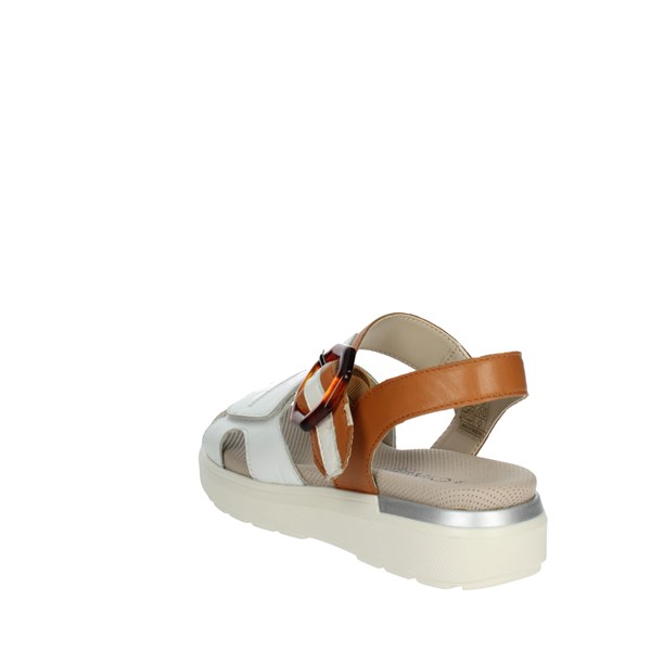 Cinzia Soft Shoes Flat Sandals White/Brown leather SV319775-SM