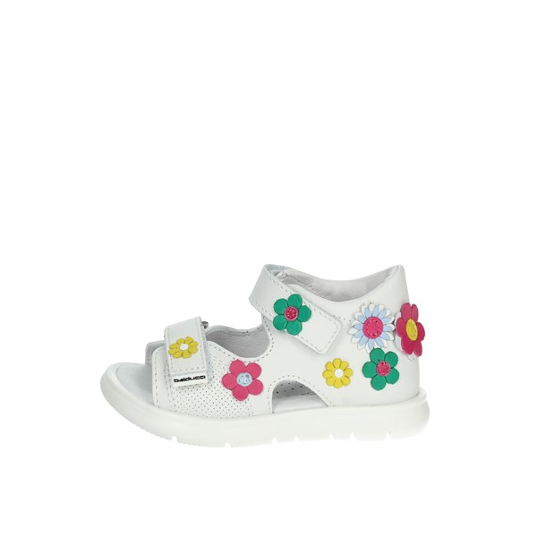 Balducci Shoes Flat Sandals White CSPO554