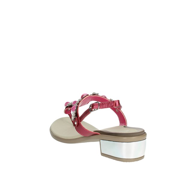 Scholl Shoes Heeled Sandals Fuchsia KIRA FLIP-FLOP