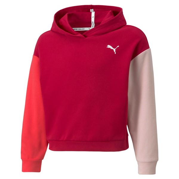Puma Clothing Sweatshirt Wine-colored 589214