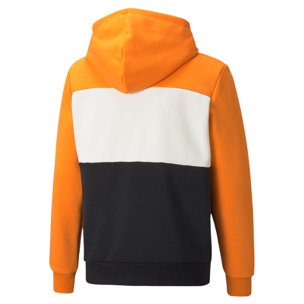 Puma Clothing Sweatshirt Orange 846128