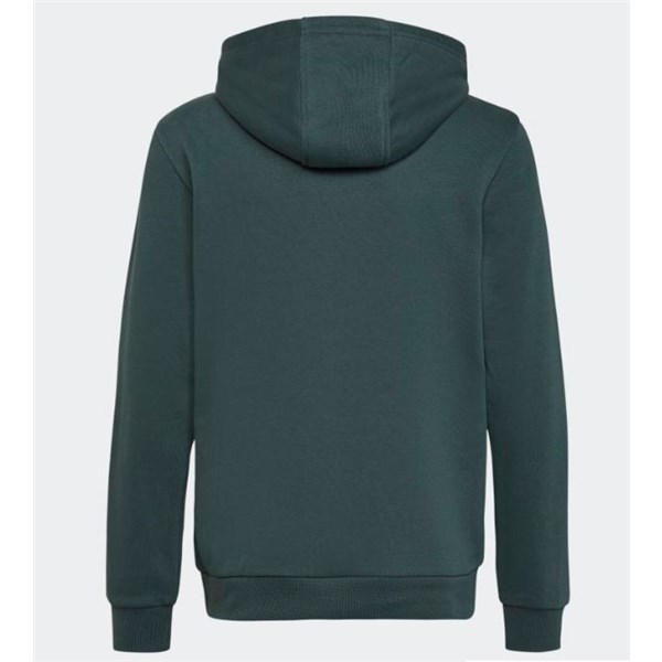 Adidas Clothing Sweatshirt Green HK0270
