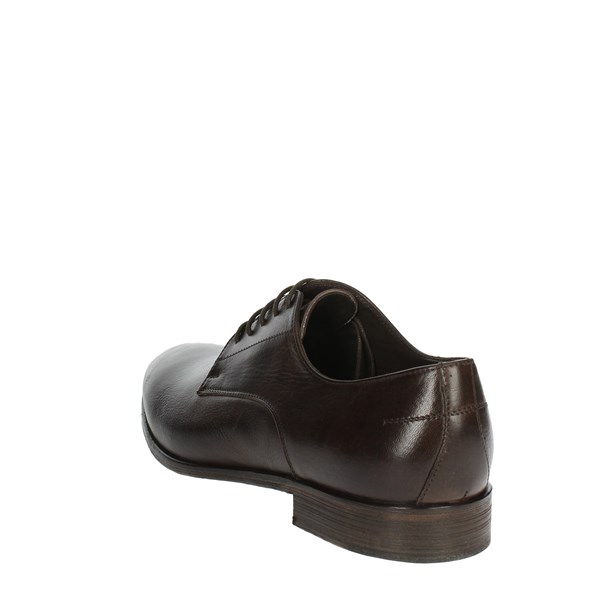 Veni Shoes Brogue Brown T0007
